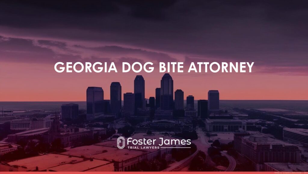 Dog Bite Lawyer in Atlanta, Georgia